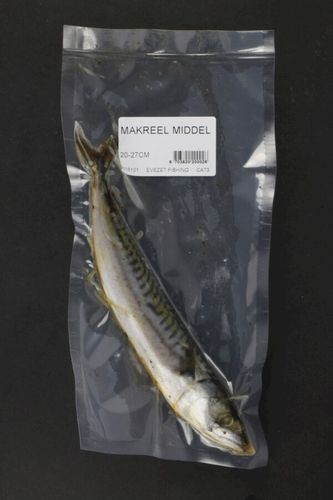 Doodaas Makreel middel 20-27 cm per stuk  op bestelling verkoop winkel
