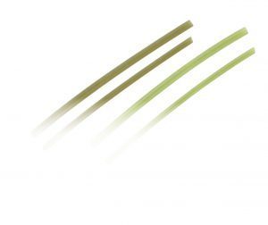 Rig Solutions shrink tube color weed 1,2 mm 10 stuks